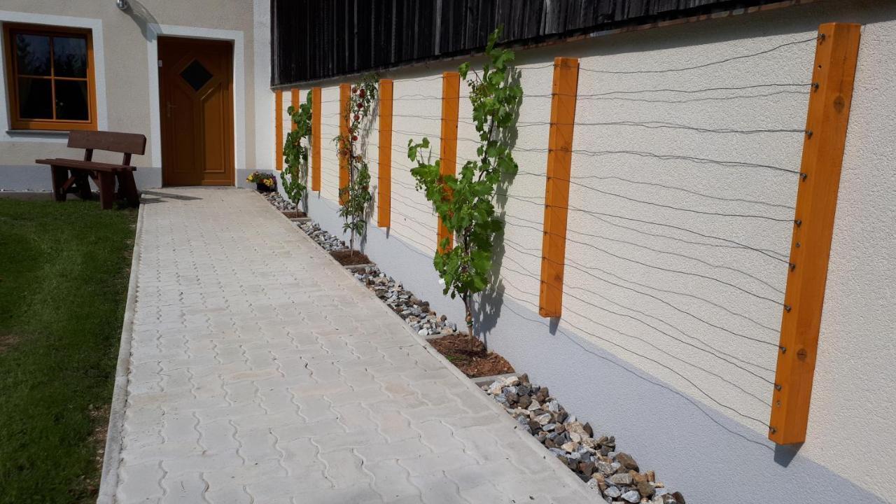 Ferienhaus Buxbaum Arbesbach Экстерьер фото